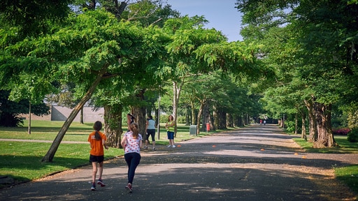 Cambridge Park Run